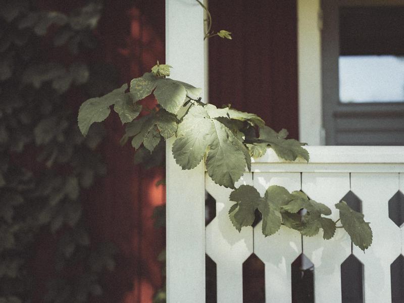 Folk Och Fae Otel Grisslehamn Dış mekan fotoğraf